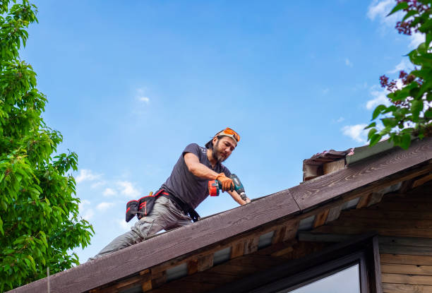 Fast & Reliable Emergency Roof Repairs in Coleman, MI